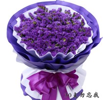 Mothers Day Forget-me-not starry flowers Fathers birthday Guangzhou Shenyang Shijiazhuang send flowers to the same city