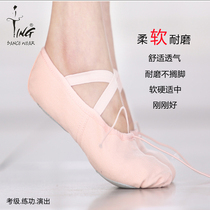 Chen Ting Girl Ballet Shoes Children Dance Shoes Dance Shoes Dance Soft-bottom Exercises Shoes Adult Cat Paw Shoes Body Shoes Canvas