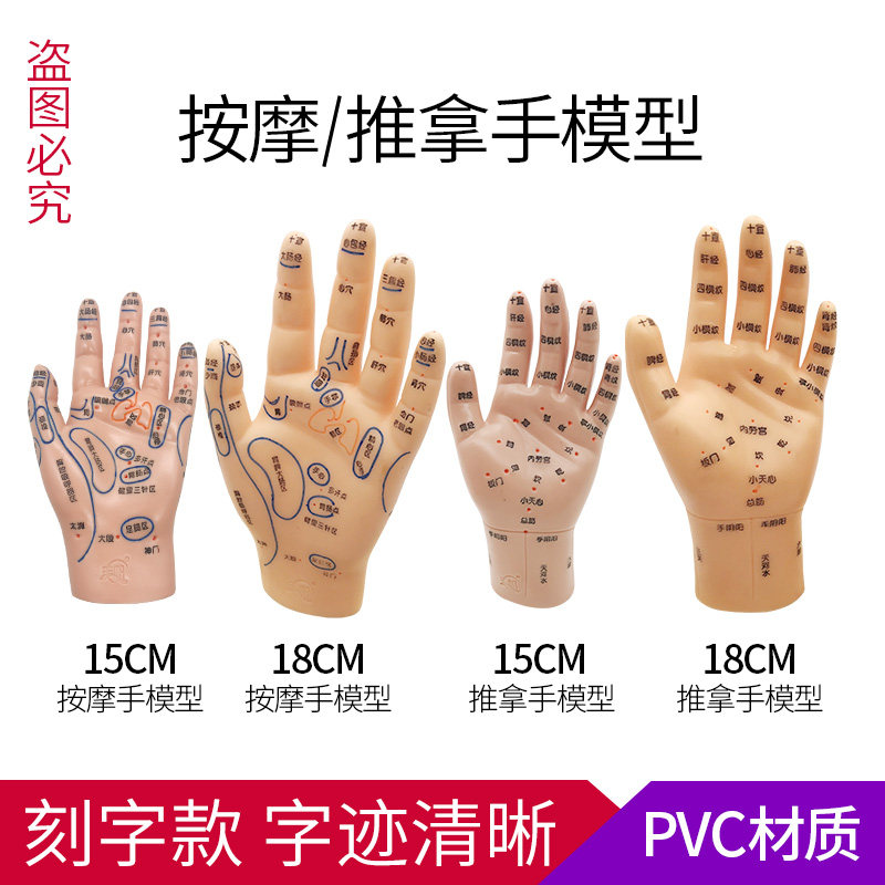 人体手15cm18cm手部穴位教学模型推拿按模穴位模型刻字手部反射区