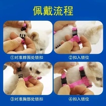 Not to hurt the cat liu mao sheng cat traction vest type anti-break out dedicated tied to mao sheng kitten collars I-