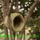 Từ bi Nguồn cung cấp đình chỉ Cho chim trung chuyển Công viên môi trường Bird House Thức ăn Máng chim Birdie tự động - Chim & Chăm sóc chim Supplies