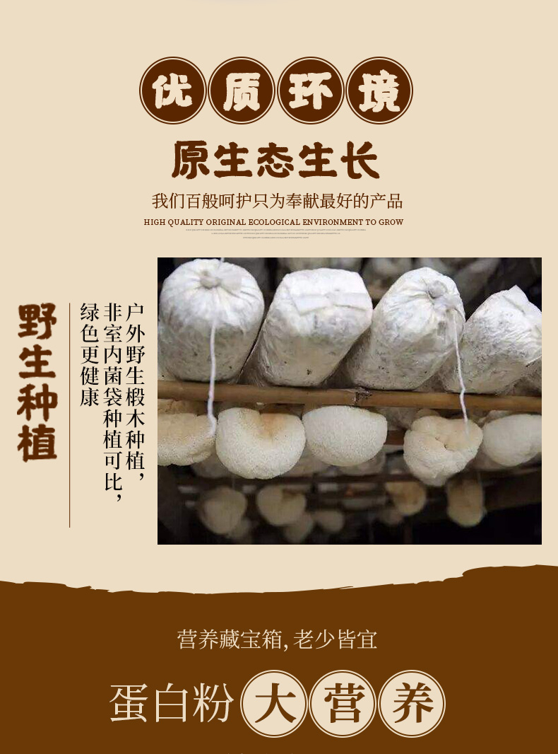 果味来营养早餐坚果藕粉500g