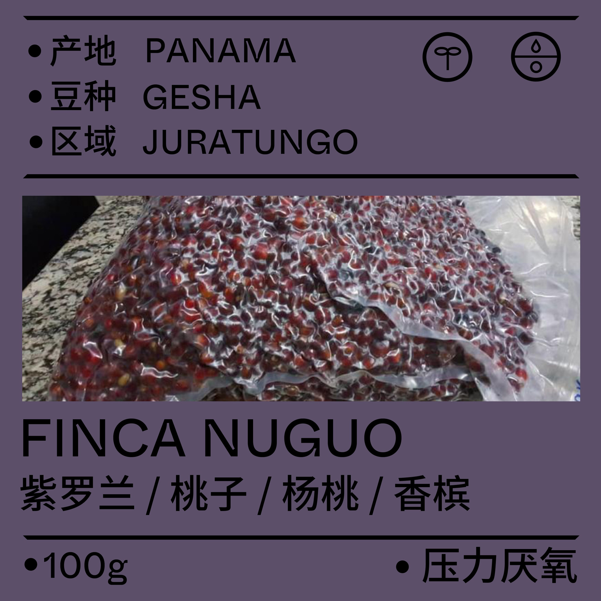 (Terraform) poplar white wine 2021 production of season nug pressure anaerobic treasures summer coffee beans 100g