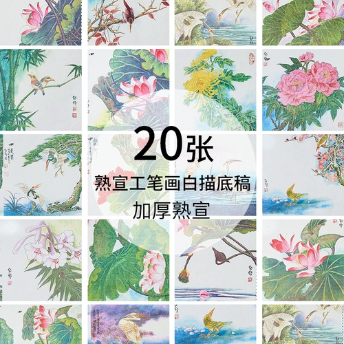 一得阁 Картина Гонгби Бейсин Драфт Новички бедные цветочные птицы лотос пионы могут прямо окрасить с шагами китайского учебника по живописи ноль взрослой студент -линия приготовленная бумага для написания бумаги щетки