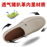 Униформа медсестры, туфли, дышащая рабочая комфортная униформа врача для отдыха, мягкая подошва, против усталых ног