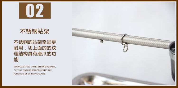 Xuân quyến rũ vẹt thép không gỉ vẹt trạm đứng trạm cực chiết Alexander Amazon vẹt xám chim - Chim & Chăm sóc chim Supplies lồng chim chào mào đẹp