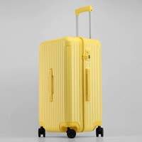 Fortune Yellow-Faste