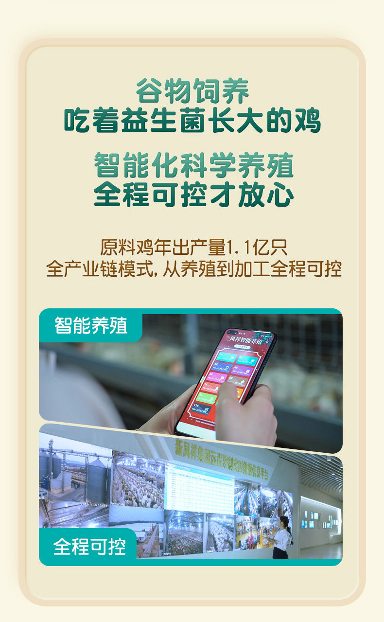 凤翔食品 优形 低脂高蛋白鸡胸肉 100g*9袋 图9