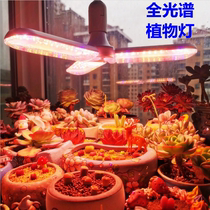 Plant fill light indoor foldable full spectrum plant growth light household meat flower vegetable planting light