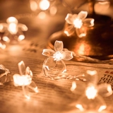 Sakura Led Light Lantern Lantern Light Strings, полные звезд Новый год