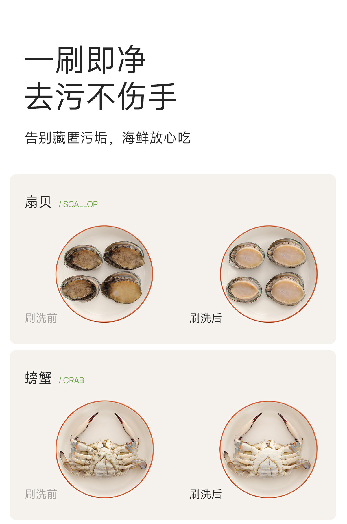 FaSoLa 磁吸海鮮刷 1把 雙頭刷 甲殼類 龍蝦鮑魚刷 瓦斯爐刷