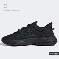 Gw3318 Подлинно противоположный продукт поддерживает оценку