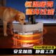 Dog constant temperature water dispenser pet automatic circulation heating winter box hot water cat water dispenser warm water bowl new style