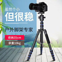 Manbily Manbili AZ-310 Camera Tripod SLR Canon Portable Micro Single Tripod Single Small Stand
