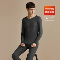 Черная [круглая шея/80 ягнят Модальная/подходящая температура 5 ℃ -20 ℃]