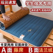 Winter and summer mat mattress home mattress double-sided thickened student dormitory single bed childrens complete set of furniture