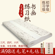 Four-foot net leather calligraphy calligraphy paper Chinese painting practice paper born half-cooked three-foot six-foot rice paper