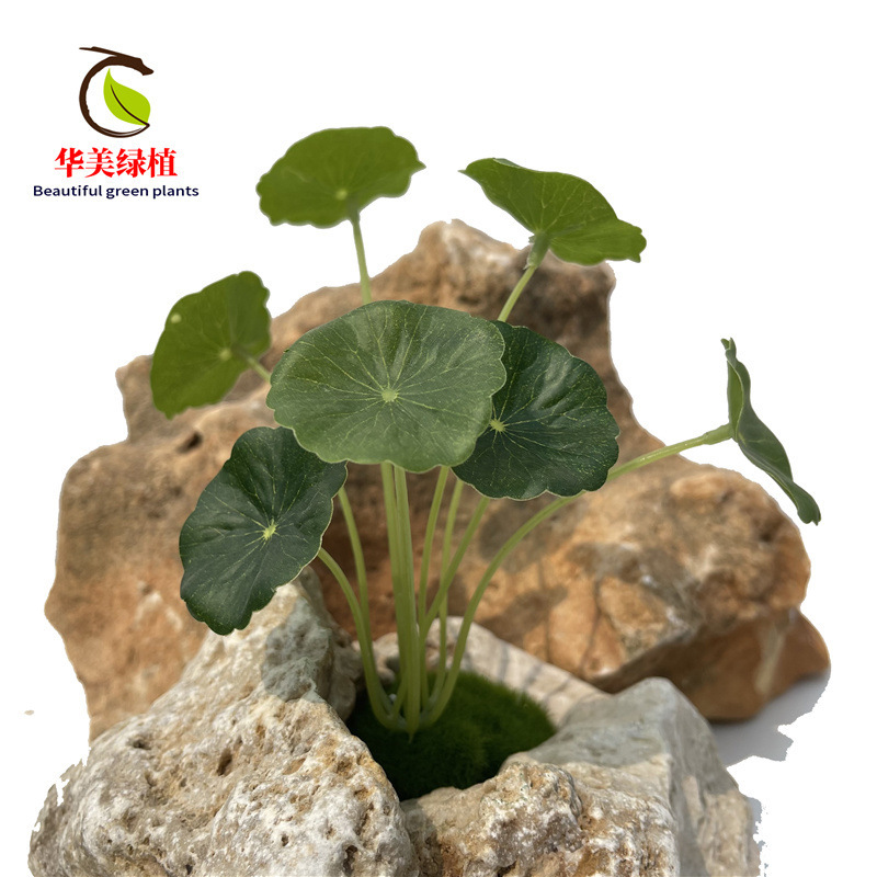 Simulated Mini Lotus Leaves, Pennywort, Money Leaves, Simulated Fake Leaves, Green Plants, Water-Cultured Potted Plants, Decorative Ornaments