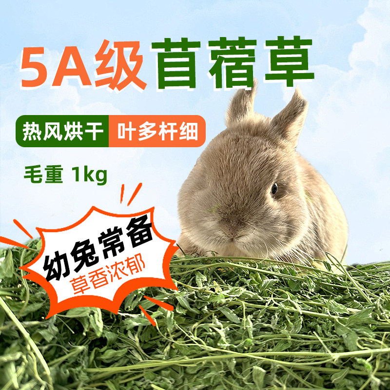 兔子窝是如何精心构建的?-商品-淘宝百科网