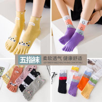 South Pole socks female midbarrel socks 5 fingers Sox Winter pure cotton socks toe Long Sox 100 lap all season socks