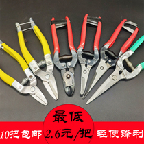 Stainless steel citrus grape fruit trimming scissors picking fruit cutting fruit fruit cutting scissors fruit cutting scissors fruit cutting