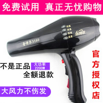 Gintel 2200W hair dryer barber shop Gintel 3160 hair dryer