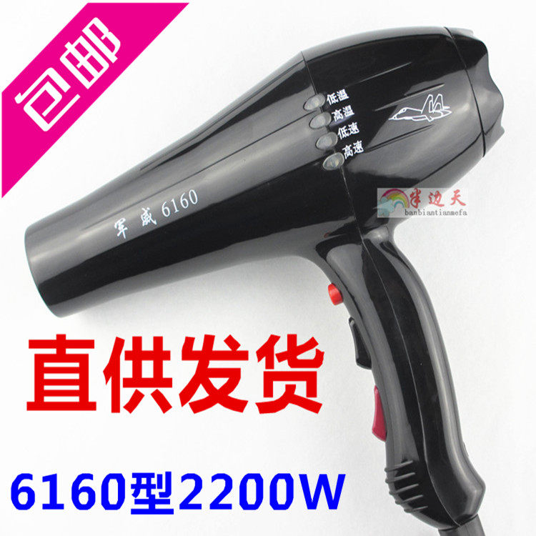 Military Wie 6160 High power professional hair salon hair dryer Home hot and cold hair dryer 2200W