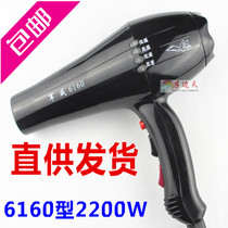 Junwei 6160 high power professional hair salon hair dryer home hot and cold hair dryer 2200W