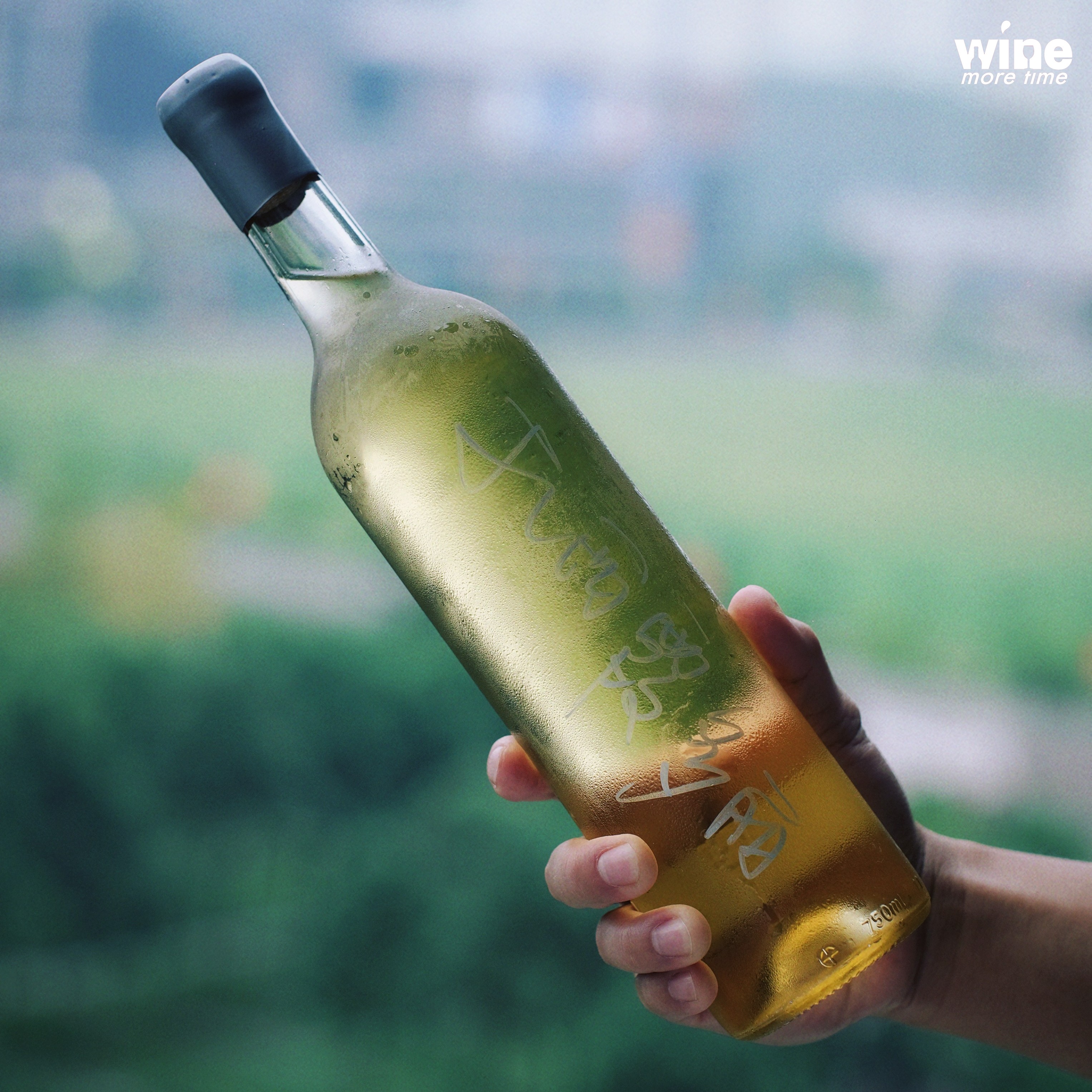 Dunyodagi eng katta va eng chiroyli eshaklar Eng buzuq porno aktrisa