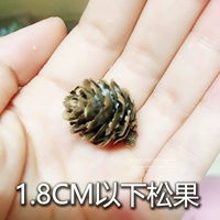 Маленький, 1-2см