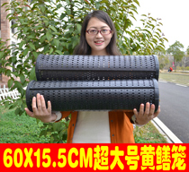 Extreme large yellow cage can be removed from plastic cage with high efficiency cage