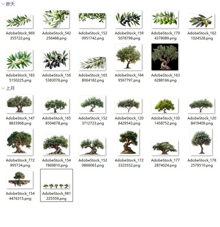 高清橄榄树PNG素材集合 25款透明背景树枝树叶自然风格设计元素包