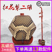 Red pear wood Erhu musical instrument Huqin beginner national musical instrument stringed instrument with pitch for adults and children