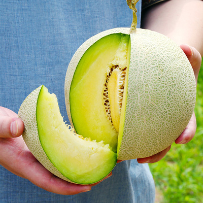 海南玫珑蜜瓜网纹瓜10斤日本品种翡翠蜜瓜哈密瓜新鲜水果当季整箱