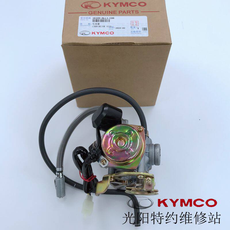Light Yangyuan Original factory in Liling Li 125 CK125T-3L 3M carburetor-Taobao