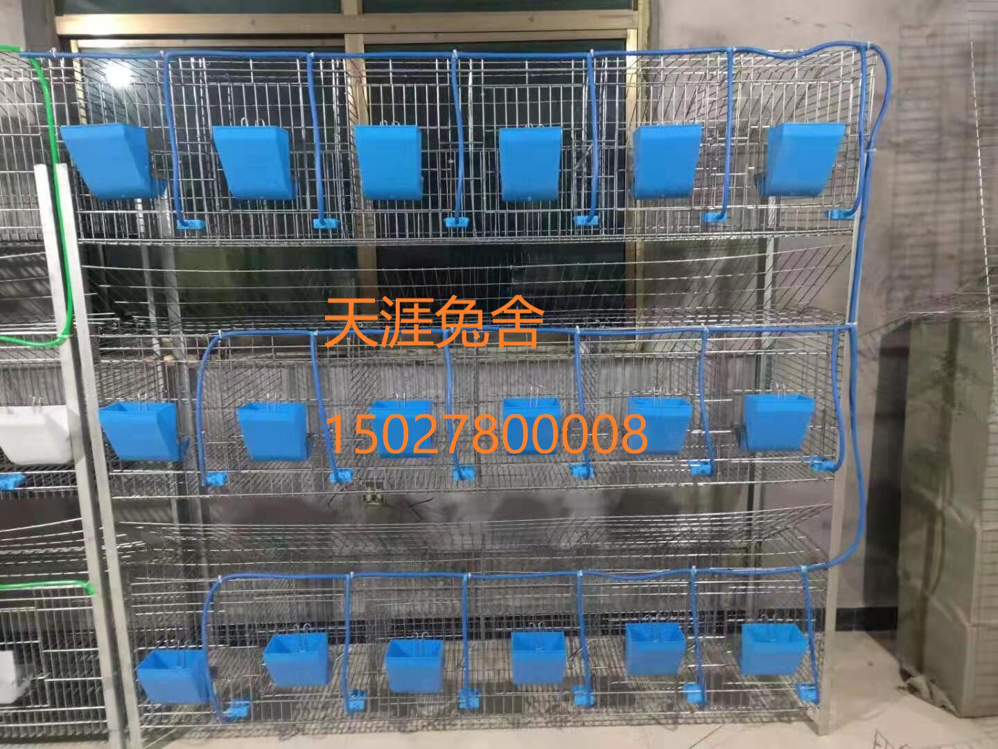 New 18 - bit 30 * 50 commodity cage free waste crystallization hot dip galvanized wire with coarse rabbit cage Tianxian rabbit house
