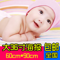 Doll pictures Baby pictures Wall stickers Baby posters prenatal education hanging paintings Doll stickers Wedding room dragon and twin pictorial