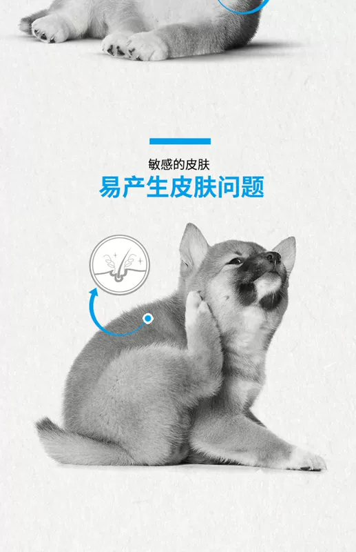 Thức ăn cho chó hoàng gia SIJ29 / 3kg Chó Shiba Inu thức ăn cho chó đặc biệt Chó trung bình Chó con chó Thức ăn cho chó Nhiều tỉnh - Chó Staples thức ăn smartheart