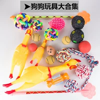 Pet puppy dog ​​toy ball Teddy puppy puppy toy vocal cat toy cung cấp la hét gà đồ chơi bông bóng đồ chơi đồ chơi cho chó pug