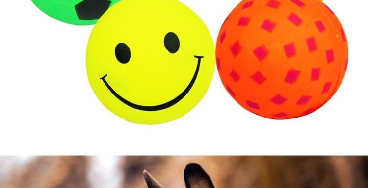 Pet puppy dog ​​toy ball Teddy puppy puppy toy vocal cat toy cung cấp la hét gà đồ chơi bông bóng đồ chơi đồ chơi cho chó ngứa răng