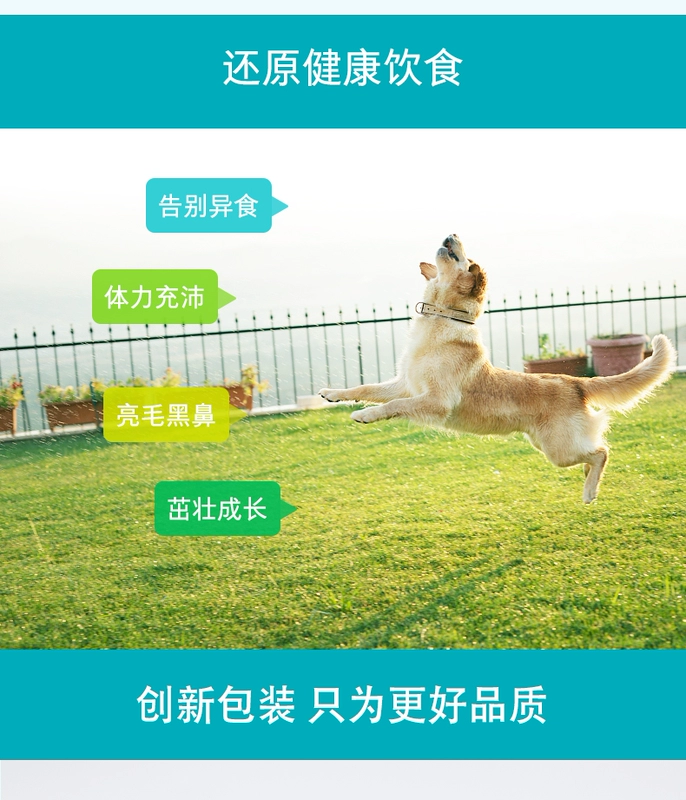 Wei Shi Chelated Chó và Mèo Yếu tố dấu vết 400 viên Pet Pet Thức ăn Nhà hàng lúa mạch Bổ sung dinh dưỡng Dog Canxi Viên nén - Cat / Dog Health bổ sung 	sữa cho mèo con sơ sinh