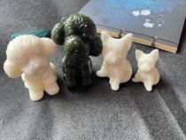 The Paw Paw Team holds a meeting