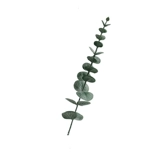 Eucalyptus ins inst styme смоделировать фальшивый цветочный компонент Букет гостиная дома скандинавские белые декоративные украшения бионический обеденный стол