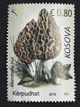 Old stamp Kosovo stamp--2016 Mushroom