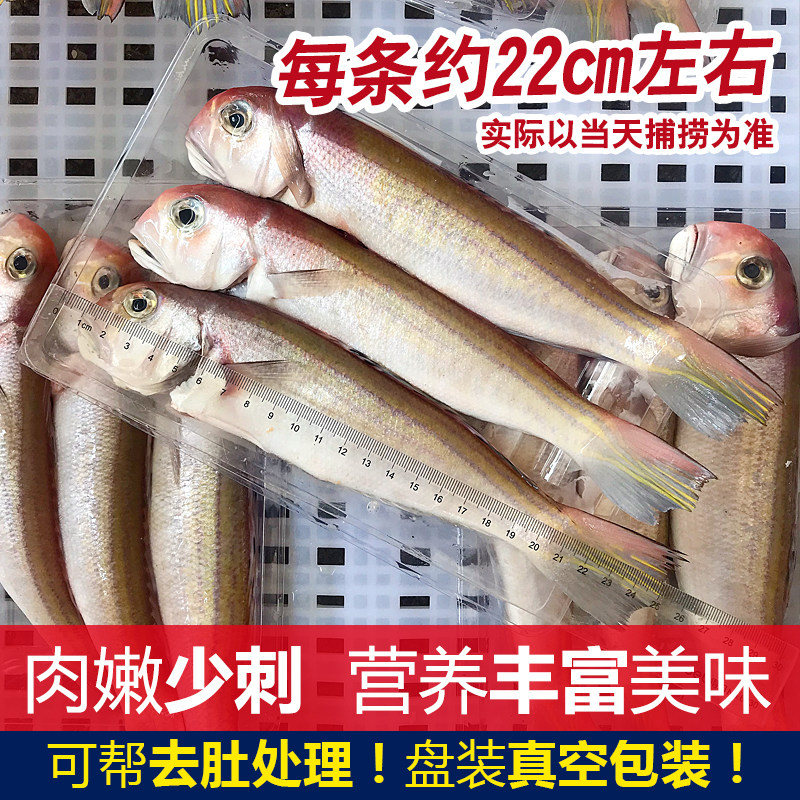 马头鱼方头鱼斧头鱼:东海新鲜非冷冻海鲜,尝鲜就选它!🐟 -淡水鱼类-淘宝百科网