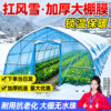 Plastic greenhouse film