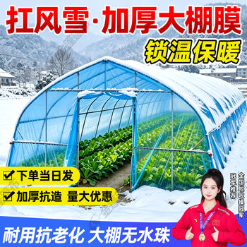 Plastic greenhouse film