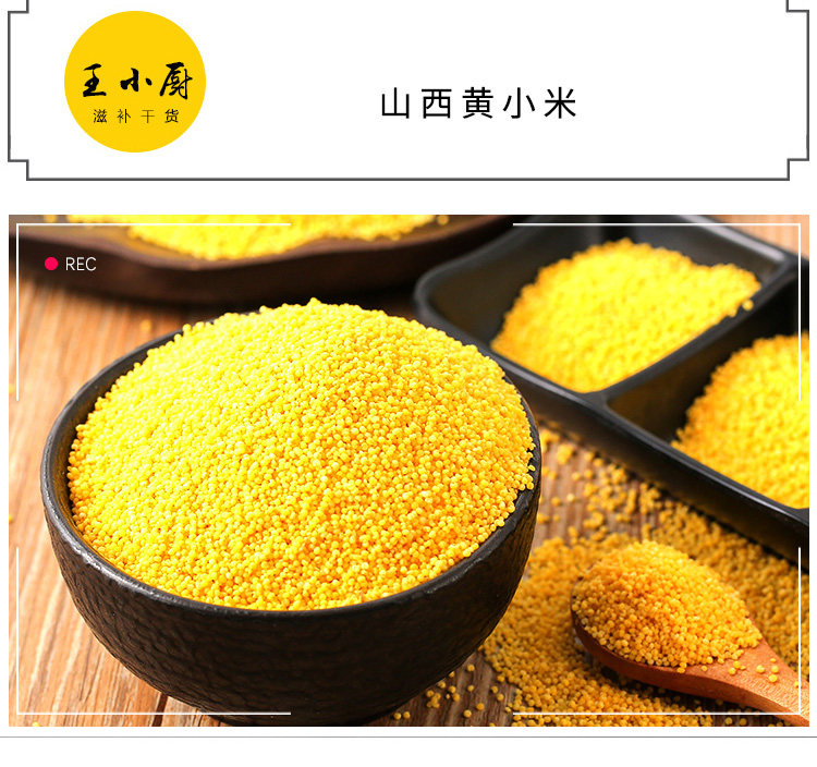 index_11.jpg