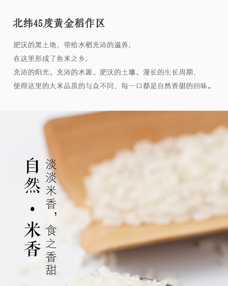 index_11.jpg