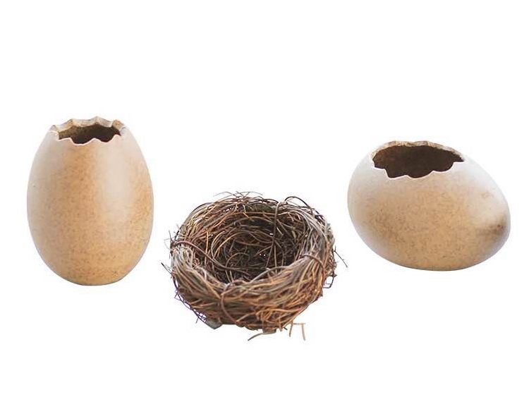 Air dứa cơ sở khung chậu hoa mùa xuân nhím biển phụ kiện đồ trang trí phân bón phun sương nhỏ có thể - Trang trí nội thất trang tri phong khach dep